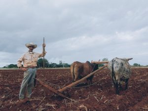 FINTECH FOR CLIMATE RESILIENCE
